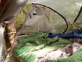 Baumzelt4.jpg