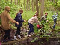 Wildniswissen_02.jpg